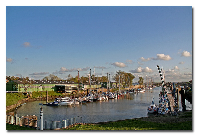LIMG_0661III_01_800