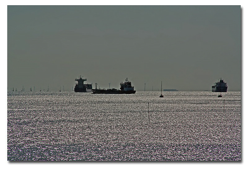 LIMG_1193III_01_800